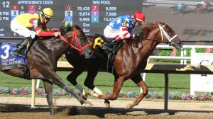 Tip Top Thomas Sets Track Record in Indiana Derby Win